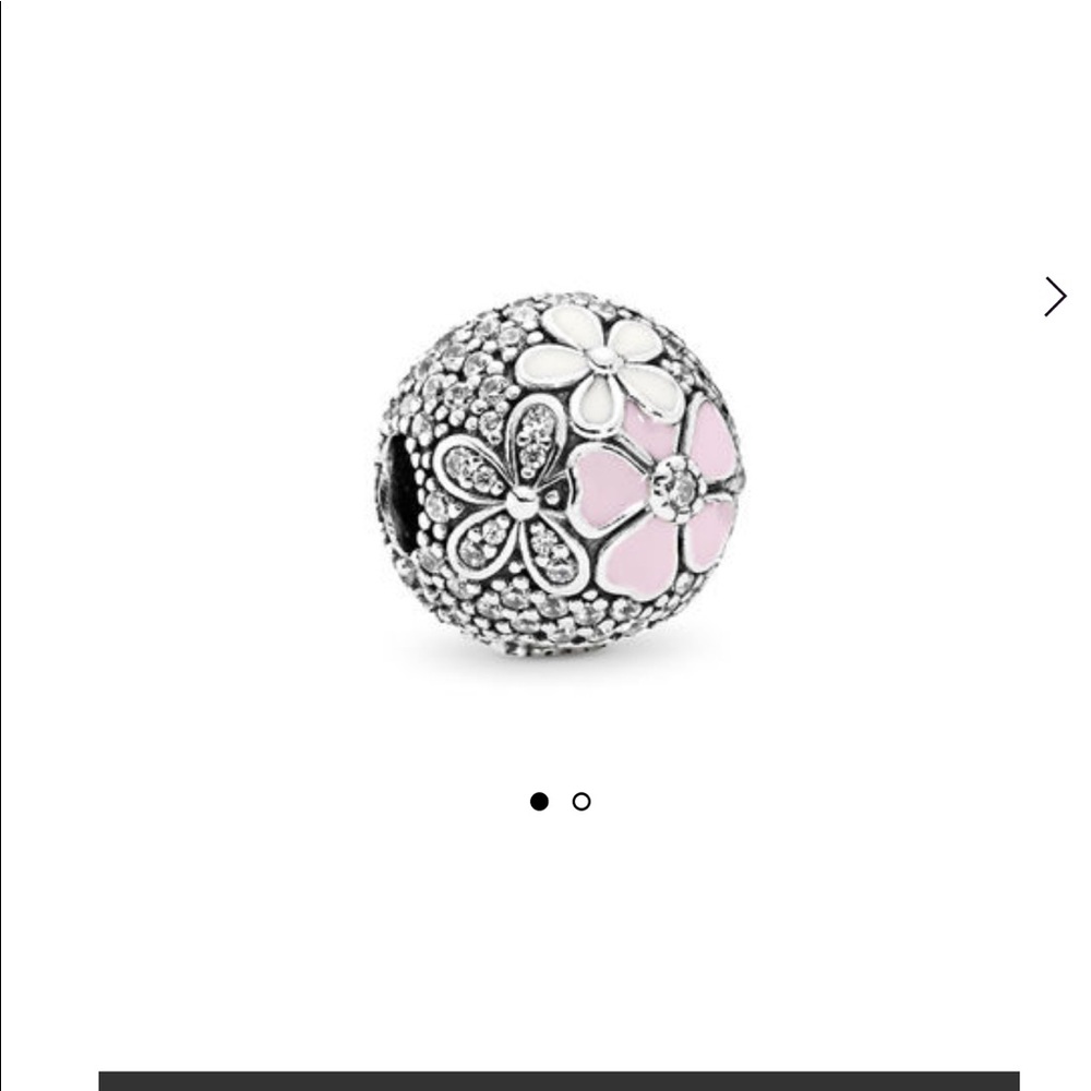 Pandora Poetic Blooms clips